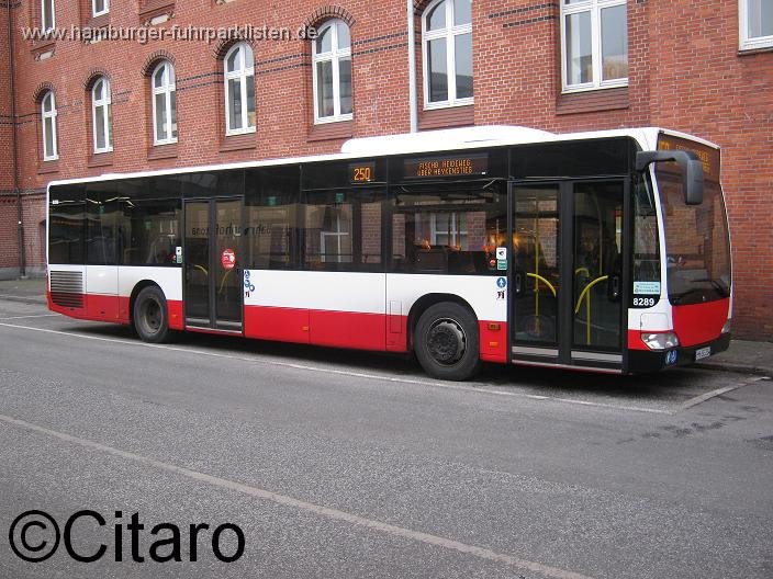 14) 8289-11,SBG,CO.jpg